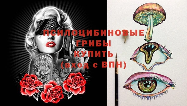 прущие крисы Богородск